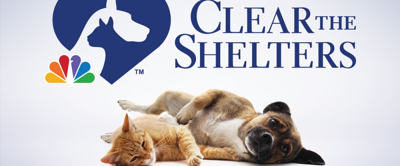 Clear the Shelters 2020 Pennsylvania Society for the Prevention of